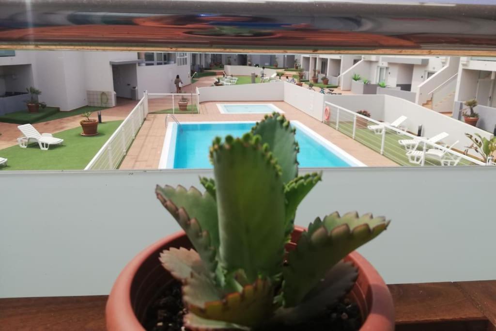 Blue Ocean Corralejo: Sunny Terrace, Pool, Wifi Apartment Exterior foto