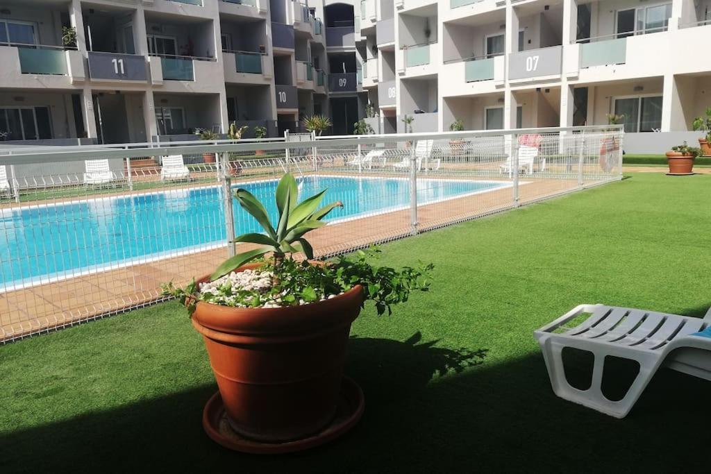 Blue Ocean Corralejo: Sunny Terrace, Pool, Wifi Apartment Exterior foto